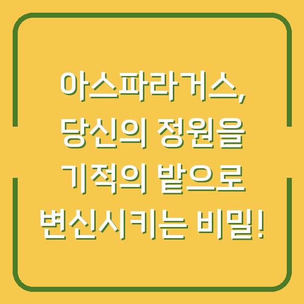 아스파라거스, 당신의 정원을 기적의 밭으로 변신시키는 비밀!