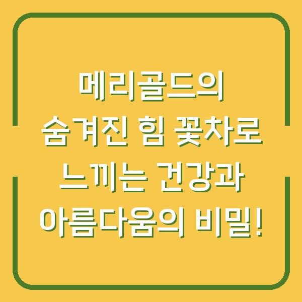 메리골드의 숨겨진 힘 꽃차로 느끼는 건강과 아름다움의 비밀!