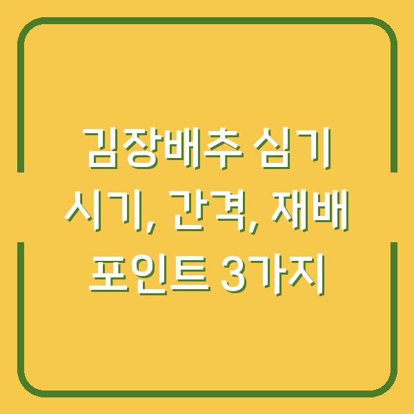 김장배추 심기 시기, 간격, 재배 포인트 3가지