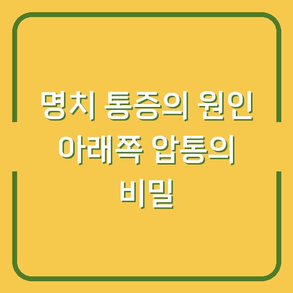 명치 통증의 원인 아래쪽 압통의 비밀