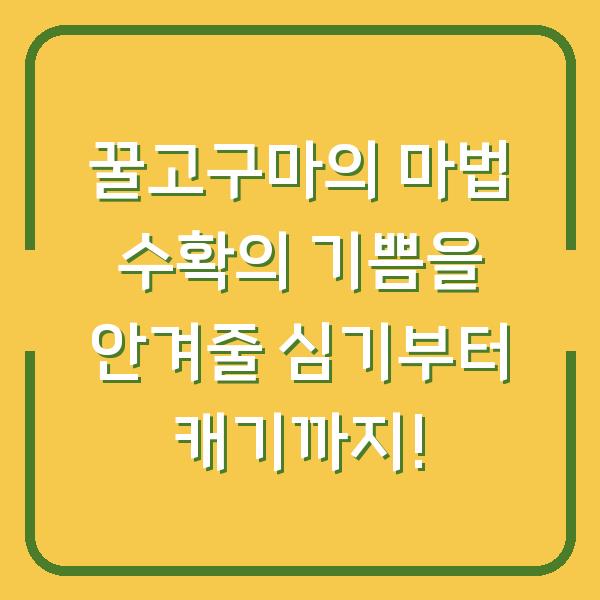 꿀고구마의 마법 수확의 기쁨을 안겨줄 심기부터 캐기까지!