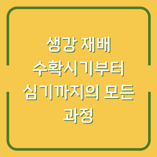 생강 재배 수확시기부터 심기까지의 모든 과정
