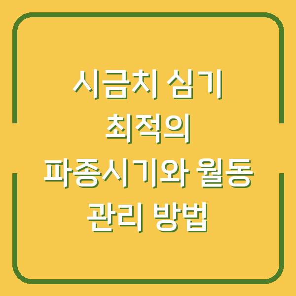 시금치 심기 최적의 파종시기와 월동 관리 방법