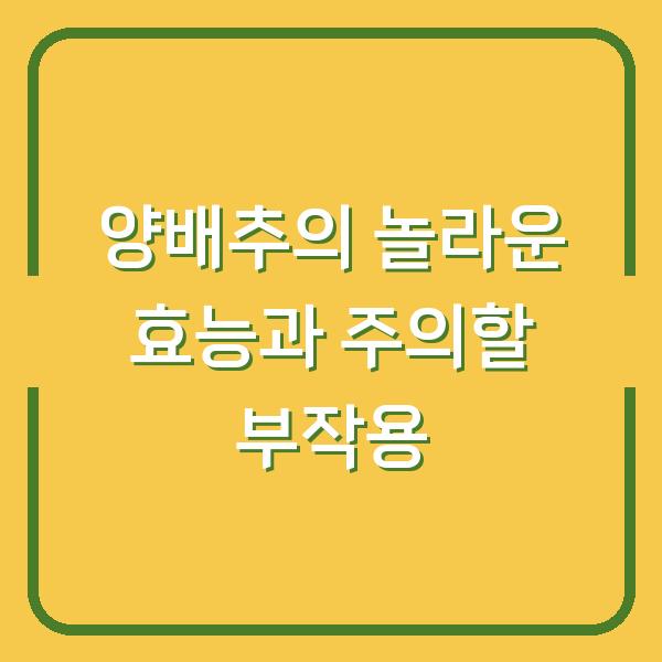 양배추의 놀라운 효능과 주의할 부작용