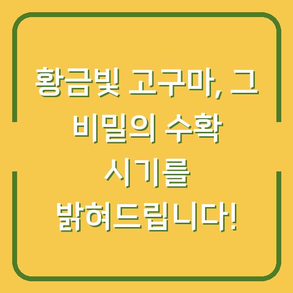 황금빛 고구마, 그 비밀의 수확 시기를 밝혀드립니다!