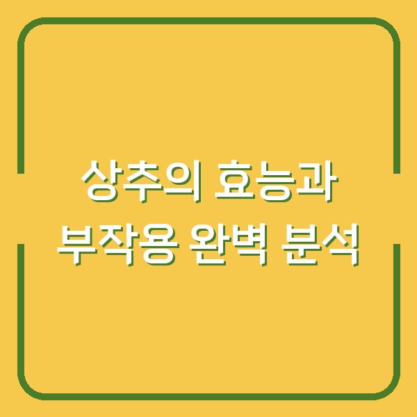 상추의 효능과 부작용 완벽 분석