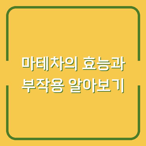 마테차의 효능과 부작용 알아보기