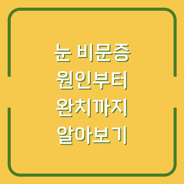 눈 비문증 원인부터 완치까지 알아보기