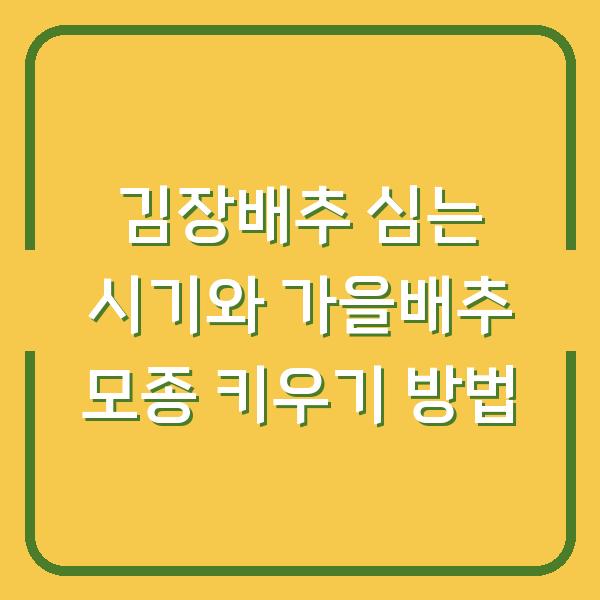 김장배추 심는 시기와 가을배추 모종 키우기 방법