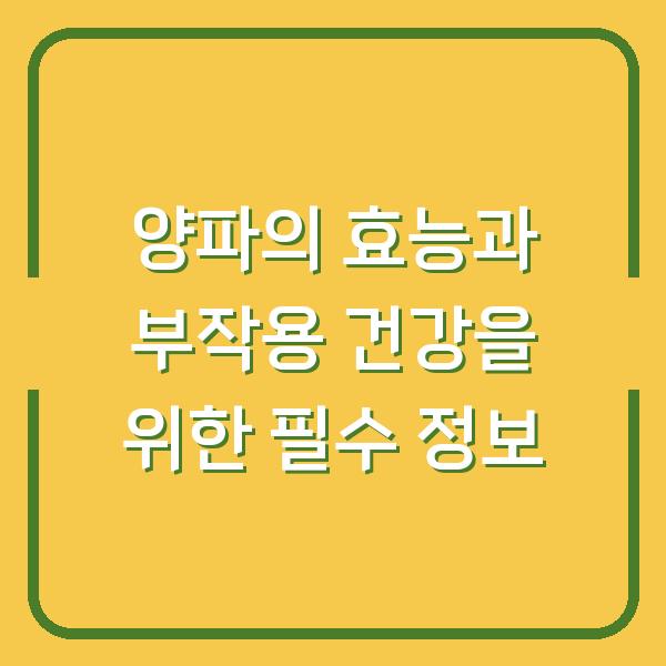 양파의 효능과 부작용 건강을 위한 필수 정보