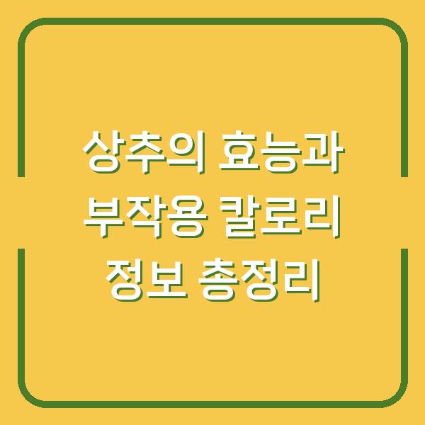 상추의 효능과 부작용 칼로리 정보 총정리