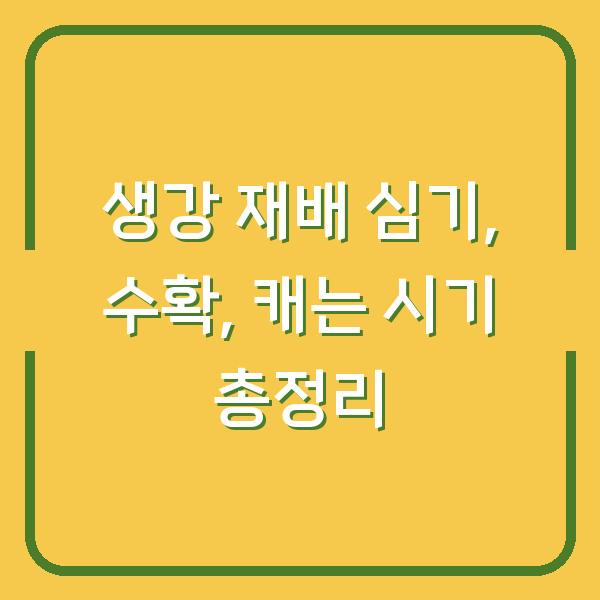 생강 재배 심기, 수확, 캐는 시기 총정리