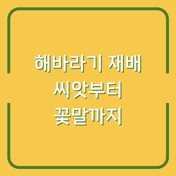 해바라기 재배 씨앗부터 꽃말까지