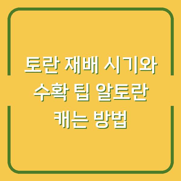 토란 재배 시기와 수확 팁 알토란 캐는 방법