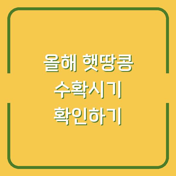 올해 햇땅콩 수확시기 확인하기