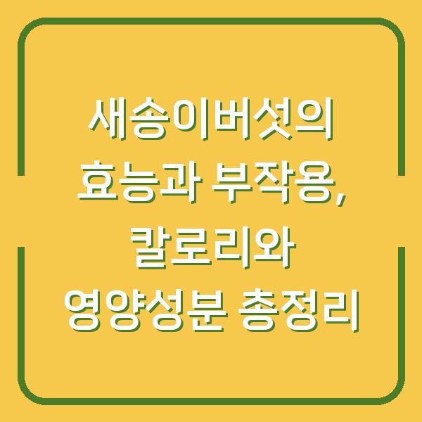 새송이버섯의 효능과 부작용, 칼로리와 영양성분 총정리