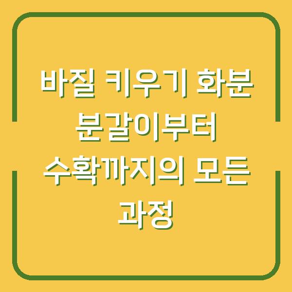 바질 키우기 화분 분갈이부터 수확까지의 모든 과정
