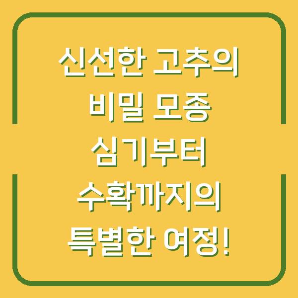 신선한 고추의 비밀 모종 심기부터 수확까지의 특별한 여정!