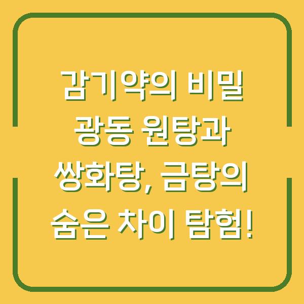 감기약의 비밀 광동 원탕과 쌍화탕, 금탕의 숨은 차이 탐험!