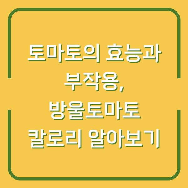 토마토의 효능과 부작용, 방울토마토 칼로리 알아보기