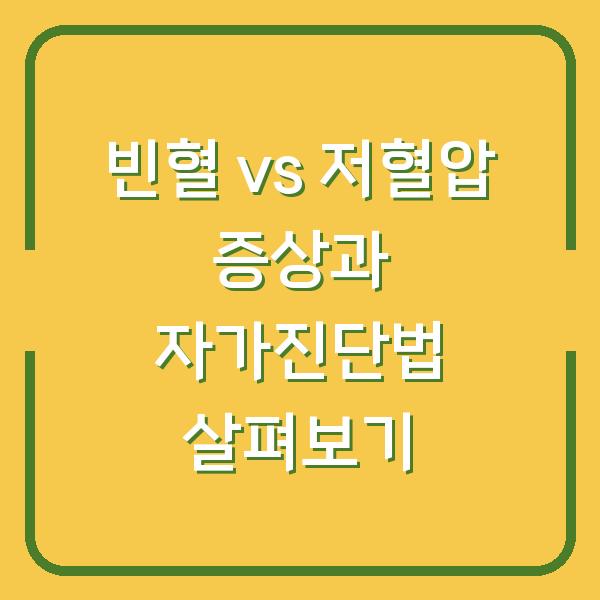 빈혈 vs 저혈압 증상과 자가진단법 살펴보기