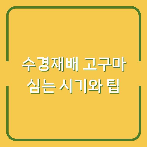 수경재배 고구마 심는 시기와 팁