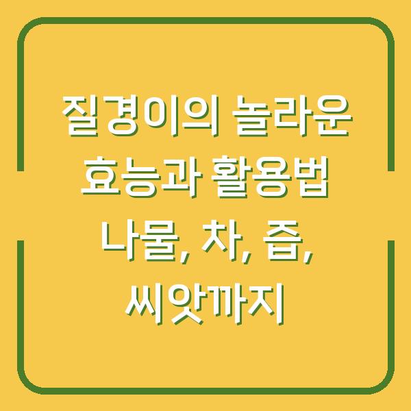 질경이의 놀라운 효능과 활용법 나물, 차, 즙, 씨앗까지