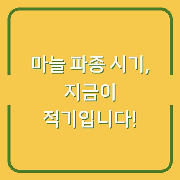 마늘 파종 시기, 지금이 적기입니다!