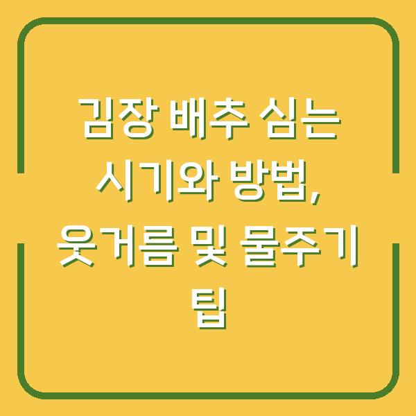 김장 배추 심는 시기와 방법, 웃거름 및 물주기 팁