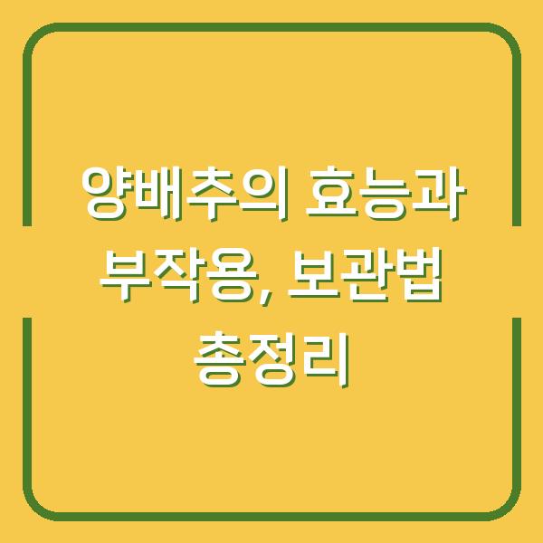 양배추의 효능과 부작용, 보관법 총정리