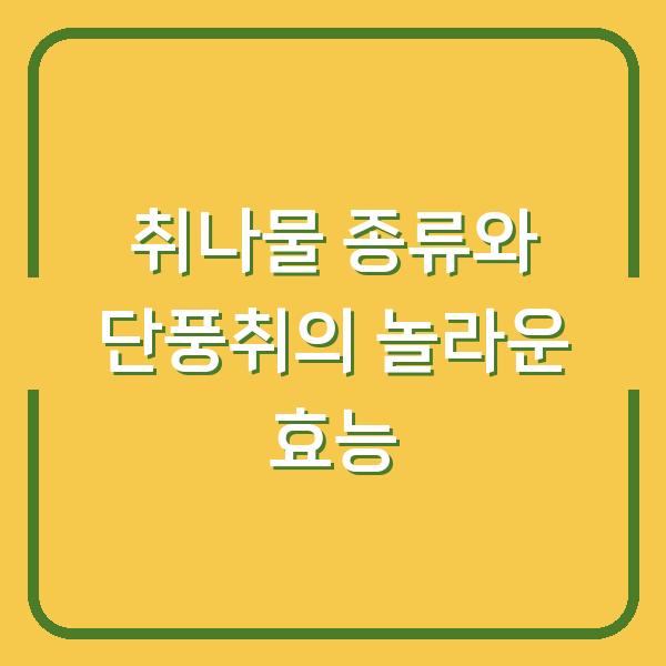 취나물 종류와 단풍취의 놀라운 효능