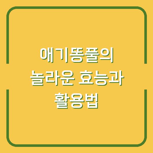 애기똥풀의 놀라운 효능과 활용법