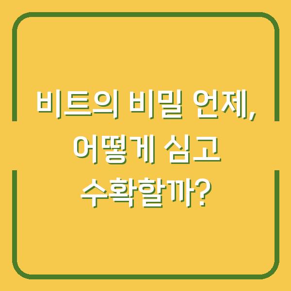 비트의 비밀 언제, 어떻게 심고 수확할까?