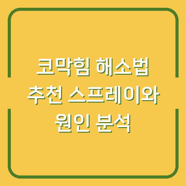 코막힘 해소법 추천 스프레이와 원인 분석