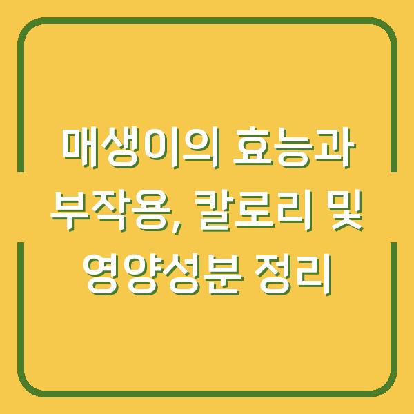 매생이의 효능과 부작용, 칼로리 및 영양성분 정리