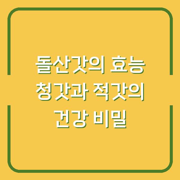 돌산갓의 효능 청갓과 적갓의 건강 비밀