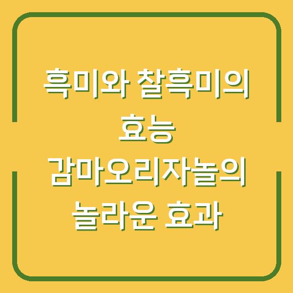 흑미와 찰흑미의 효능 감마오리자놀의 놀라운 효과