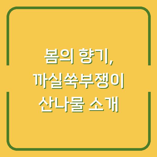 봄의 향기, 까실쑥부쟁이 산나물 소개