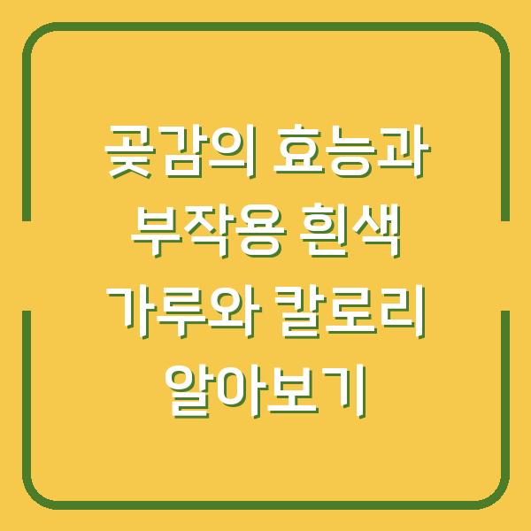 곶감의 효능과 부작용 흰색 가루와 칼로리 알아보기