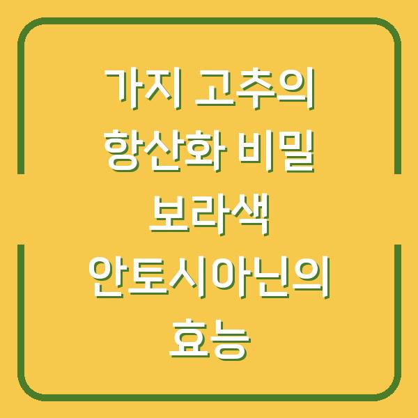 가지 고추의 항산화 비밀 보라색 안토시아닌의 효능