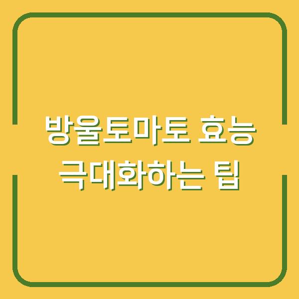 방울토마토 효능 극대화하는 팁