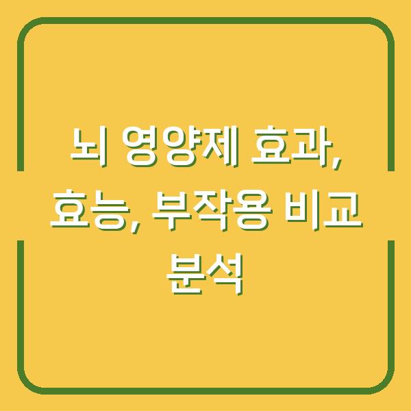 뇌 영양제 효과, 효능, 부작용 비교 분석