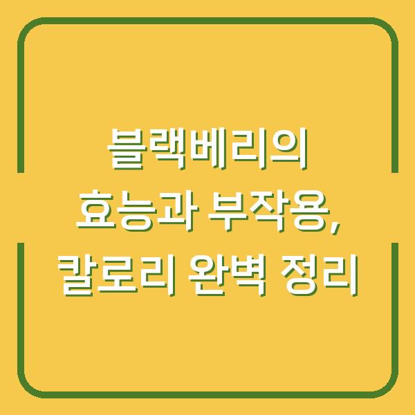 블랙베리의 효능과 부작용, 칼로리 완벽 정리