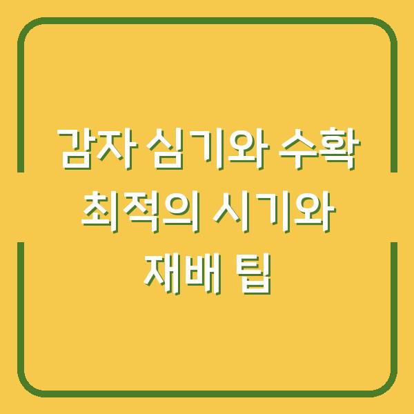 감자 심기와 수확 최적의 시기와 재배 팁