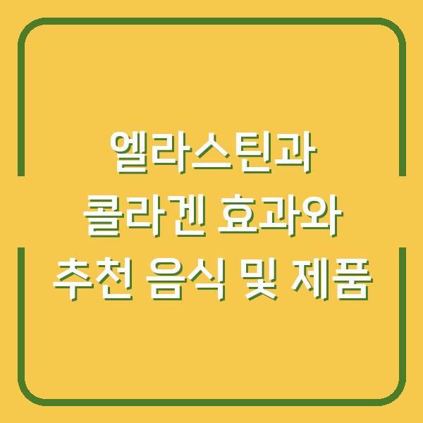 엘라스틴과 콜라겐 효과와 추천 음식 및 제품