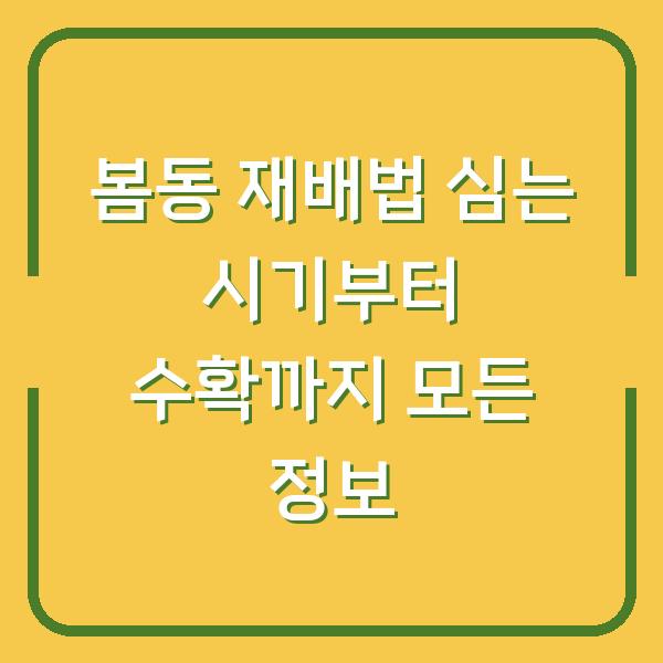 봄동 재배법 심는 시기부터 수확까지 모든 정보