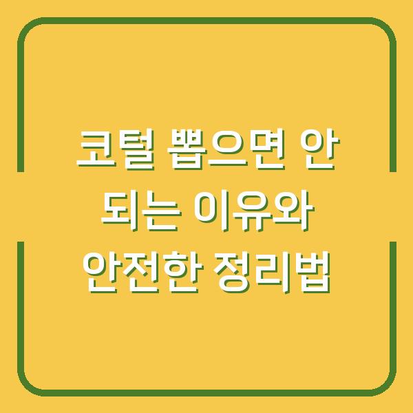 코털 뽑으면 안 되는 이유와 안전한 정리법