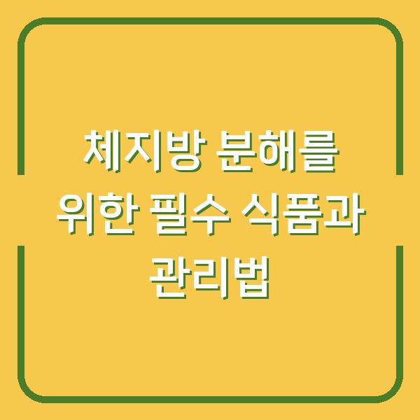 체지방 분해를 위한 필수 식품과 관리법