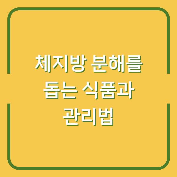 체지방 분해를 돕는 식품과 관리법