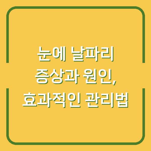 눈에 날파리 증상과 원인, 효과적인 관리법